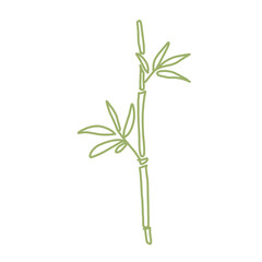 bamboo stem and leave