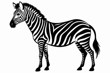 zebra silhouette black vector