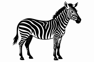 Fototapeta premium zebra silhouette black vector