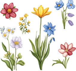 Obraz premium Vector set of spring flowers, including vibrant tulips, daffodils, and bluebells, with fresh green leaves. ideal for use in seasonal illustrations.