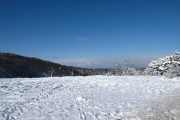 Snowy Landscape with Distant Mountains and Bare Trees Under a Cloudy Sky