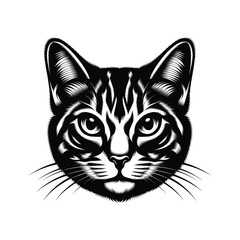 Cat silhouette with white background