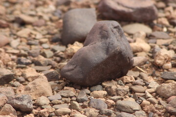 A close-up view of a black stone on the ground