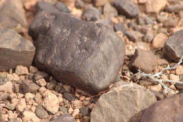 A close-up view of a black stone on the ground