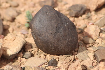 A close-up view of a black stone on the ground
