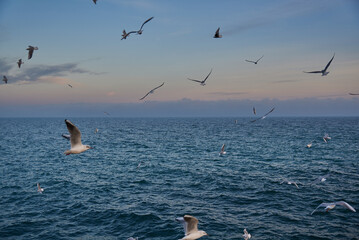 beautiful sea in Odesa Ukraine