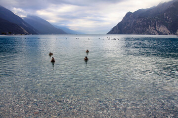 Obraz premium il lago di Garda in Trentino in una giornata nuvolosa