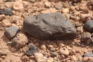 A close-up view of a black stone on the ground