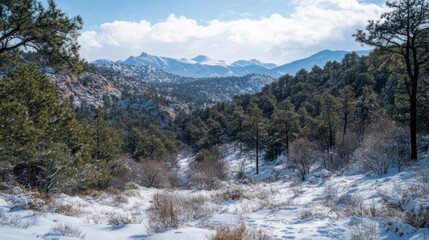 Fototapeta premium Snowy Mountain Valley Vista (1)