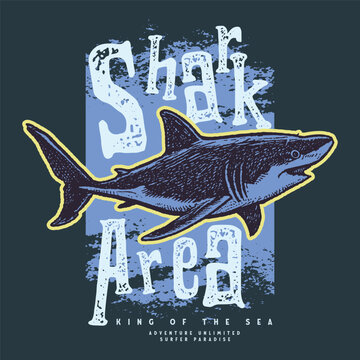 Grunge vector design with attacking shark and typography print t-shirt, sea California Hawaii vintage style fashion trendy illustration print t-shirt summer poster sticker, Shark t-shirt print