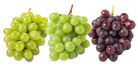 Three Varieties of Fresh Plump Grapes on White Background for Freshness, PNG Transparent