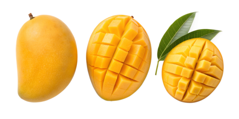 Three Unique Styles of Mango Fruits on White for Sweet and Fresh Displays, PNG Transparent