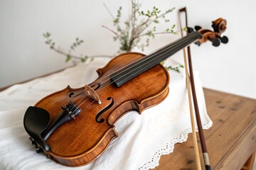 Fototapeta premium violin and bow