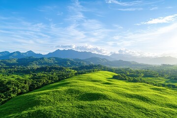 Obraz premium Cover cropping benefits in rolling hills green fields at dawn showcasing soil protection and biodiversity