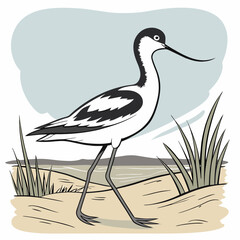 vector illustration of a bird