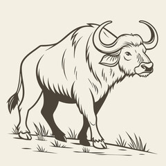 vector illustration of a rhinoceros