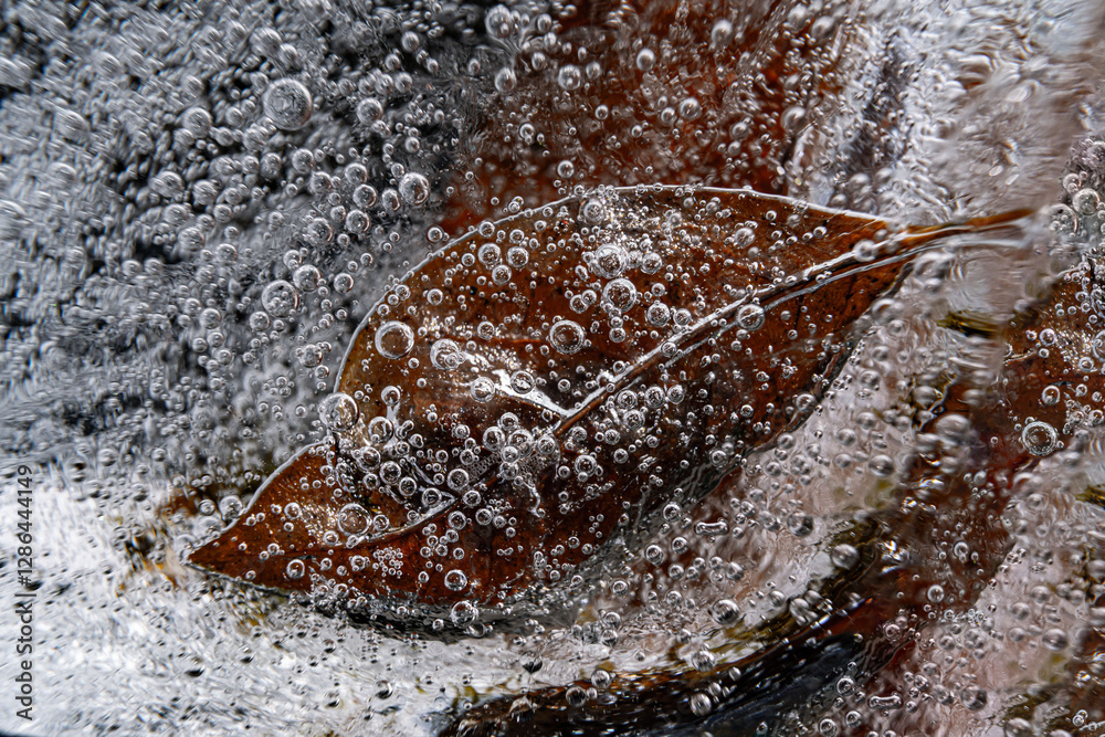 Poster close up macro shot of a frozen leaf in an ice block - for computer graphics, texturing, compositing