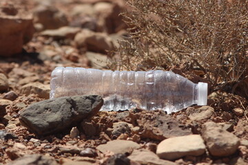 Obraz premium Empty plastic bottle lying on the ground