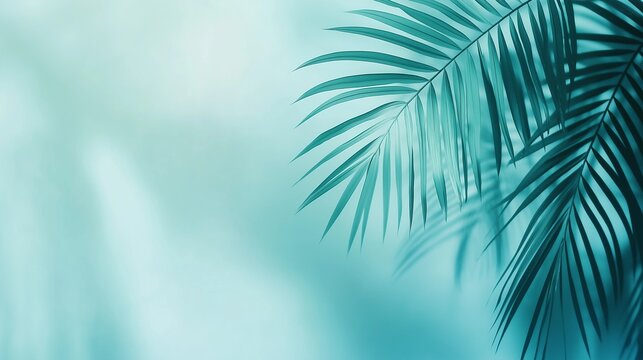 Blurred shadow from palm leaves on the light blue wall background