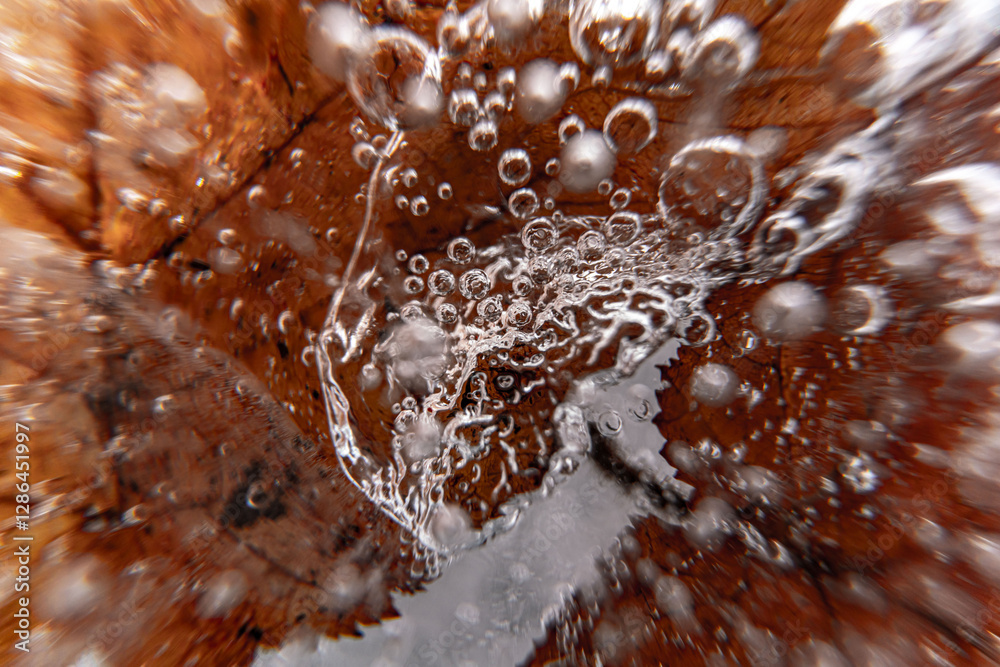 Poster close up macro shot of a frozen leaf in an ice block - for computer graphics, texturing, compositing