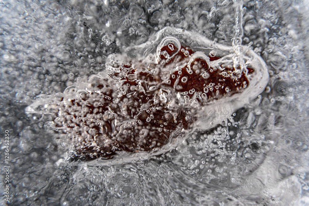 Poster close up macro shot of a frozen leaf in an ice block - for computer graphics, texturing, compositing