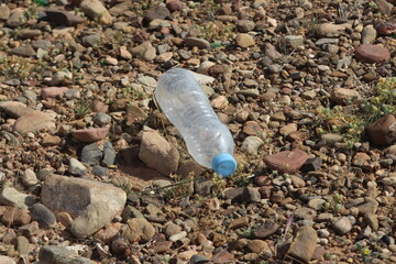 Empty plastic bottle lying on the ground