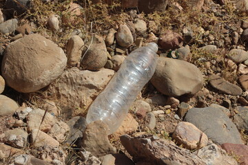 Empty plastic bottle lying on the ground