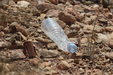 Empty plastic bottle lying on the ground