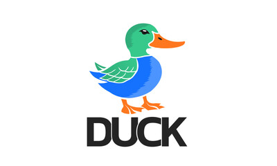 ducks, rubber duck, waterbird, farming, illustrations, water bird, wilderness