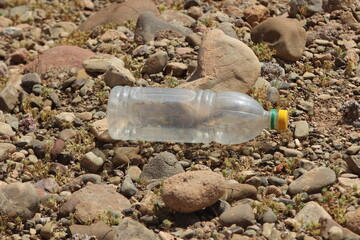 Empty plastic bottle lying on the ground