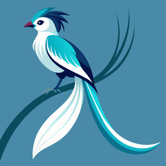 Stylized Tropical Bird with Long Tail Feathers and Blue and White Plumage in Minimalist Illustration

