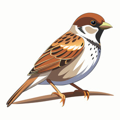 Detailed Small Sparrow Illustration with Brown and White Feathers and Orange Beak in Side Profile

