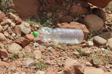 Obraz premium Empty plastic bottle lying on the ground