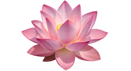 Beautiful pink lotus flower in full bloom with delicate petals. Sacred water lily blossom with soft glow. Zen buddhist symbol. Spiritual and wellness concept for spa, meditation, and healing