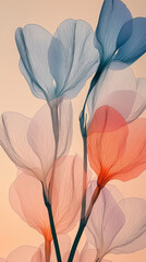 Delicate background of flowers with translucent petals