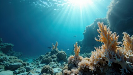 Obraz premium Underwater view of bleached coral pillars on sandy ocean floor with sunlight filtering through 