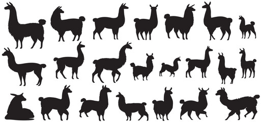 Llama and Alpaca silhouette set, Llama silhouettes set, animal pack of vector silhouette design, isolated background © shahzad