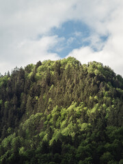 A breathtaking view of a mountain covered in dense green forest under a partly cloudy sky. Sunlight highlights the treetops, creating a contrast between light and shadow in the natural landscape.