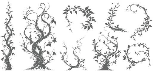 Jungle creeper silhouettes. Tropical forest lianas, rainforest hanging sprouts. Climbing liana vines flat set vector