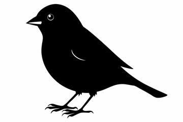 finch silhouette black silhouette vector