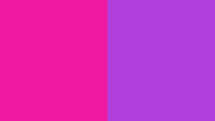 Obraz premium Magenta and Lavender Solid Color Background