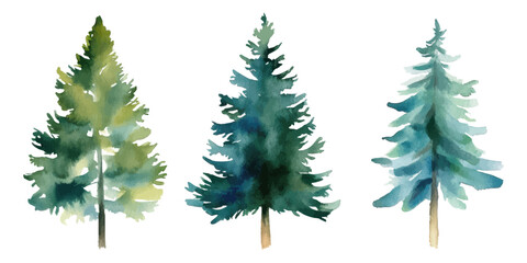 Watercolor illustration of three evergreen pine trees with soft natural textures