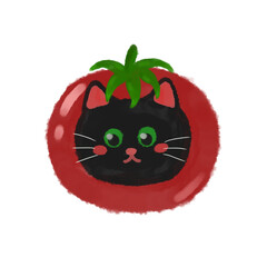 Cat tomato 