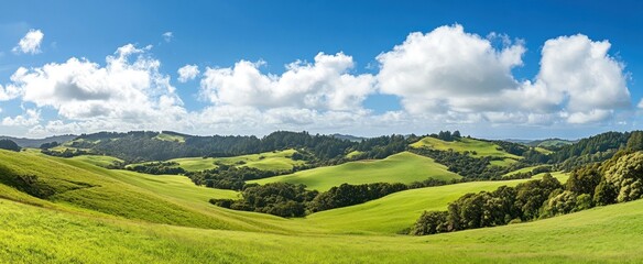 Fototapeta premium Serene Rolling Hills of California: A Pastoral Landscape Under a Summer Sky