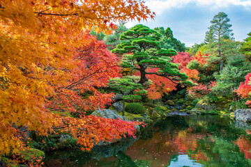 Traditioneller japanischer Garten in Herbst, Japan  
