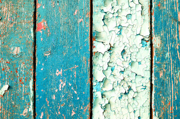 Texture peeling paint background Old wooden painted texture surface with peeling paint of turquoise color
