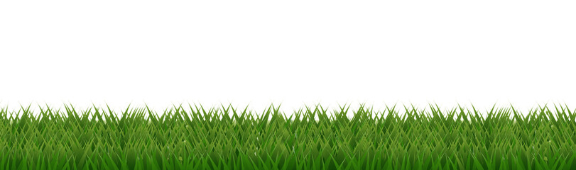 Fototapeta premium Green Grass Border With White Background