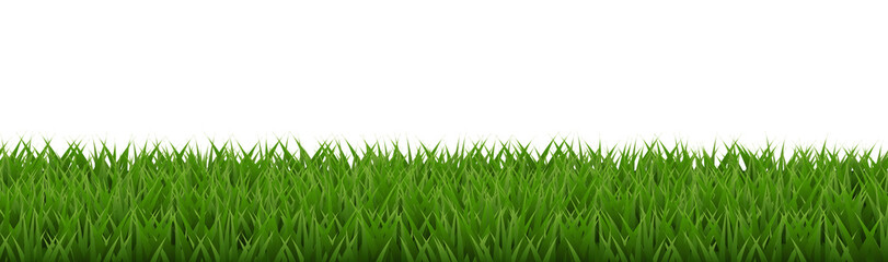 Obraz premium Spring Grass And White Background