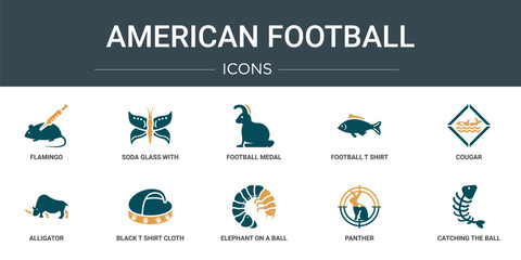 set of 10 outline web american football icons such as flamingo, soda glass with a straw, football medal, football t shirt with number 83, cougar, alligator, black t shirt cloth vector icons for