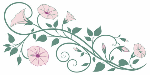 Illustrate a delicate morning glory vine pattern with intertwining tendrils and soft hues. © Designer Pac 2